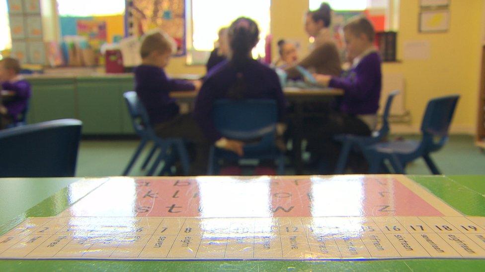 The committee is calling for up-to-date school enrolment figures to be gathered "as a matter of urgency"