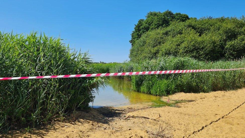 Frensham Common in Surrey