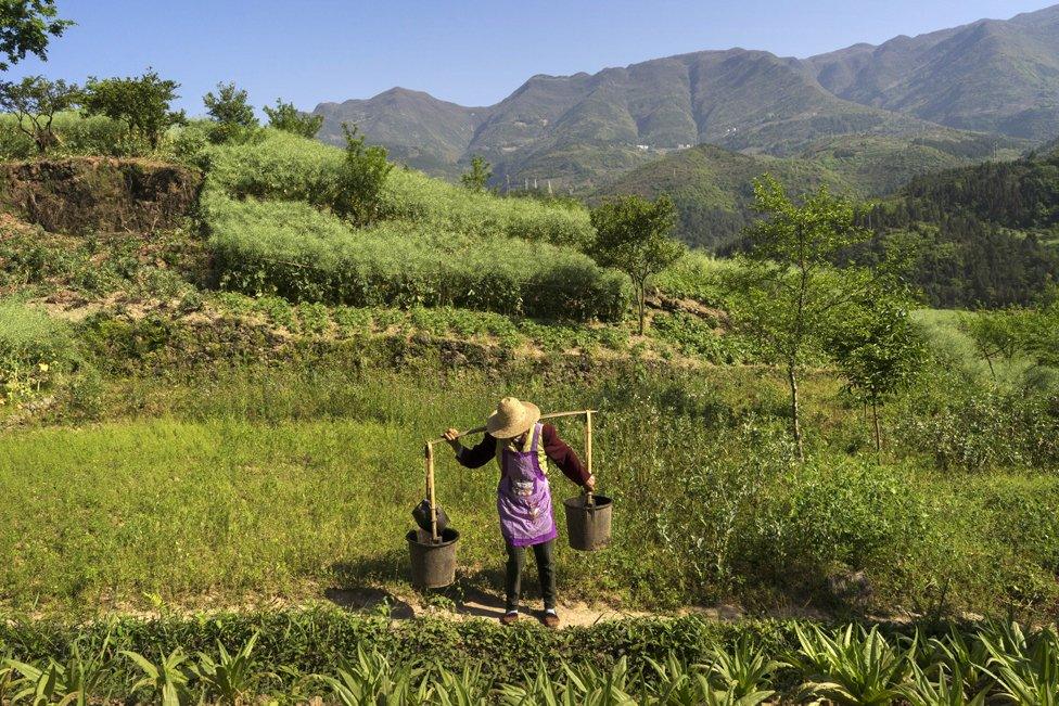 Working in fields