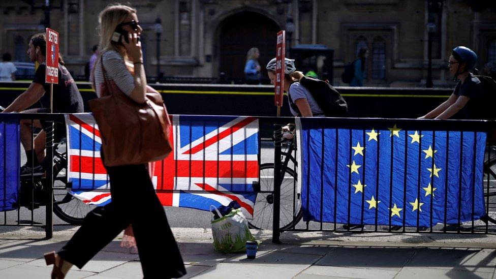 UK and EU flags outside Parliament