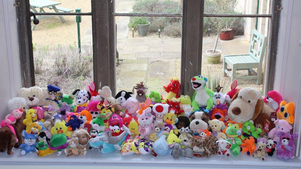 Collection of cuddly toys