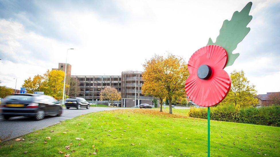 Giant poppy