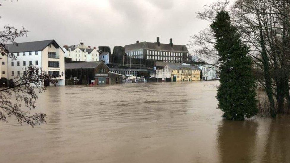 Afon Tywi wedi gorlifo