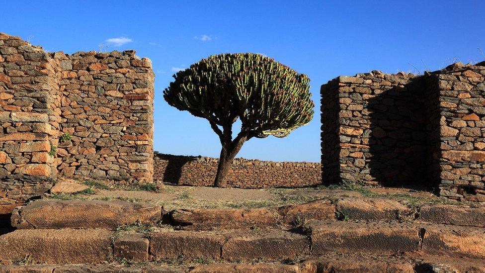 Ruins of the palace of the Queen of Sheba near Axum, Aksum, Dongur Palace