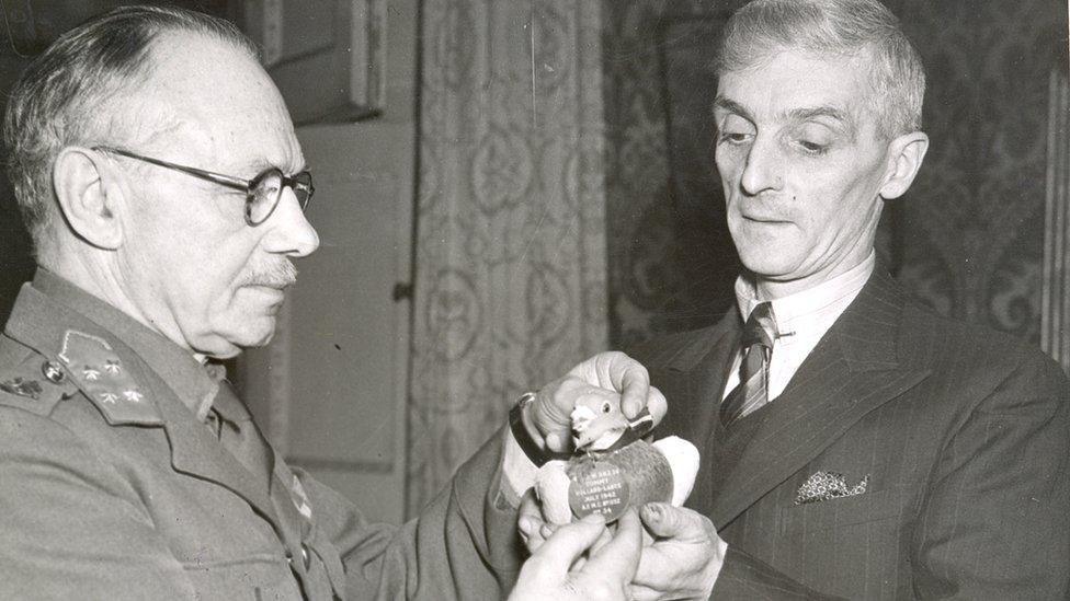 A black-and-white photograph of two men holding Tommy the pigeon wearing a medal. One of the men has round glasses and is in uniform, the other is wearing a three-piece suit.