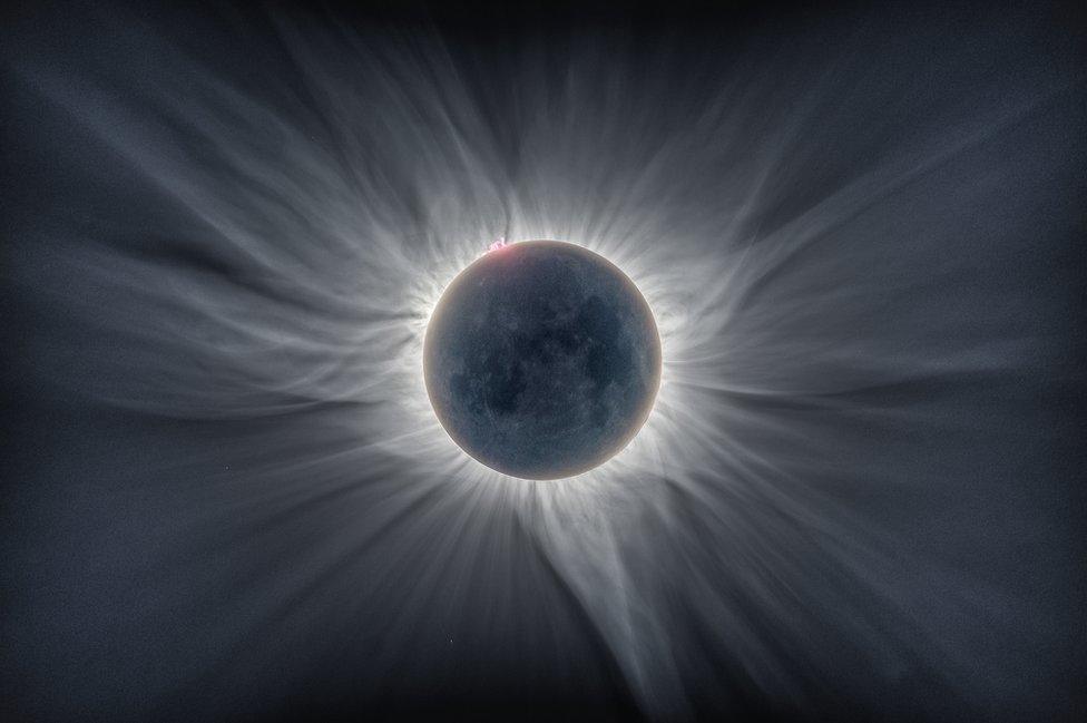 Sun Flower Corona by Caitlin Beldea and Alson Wong