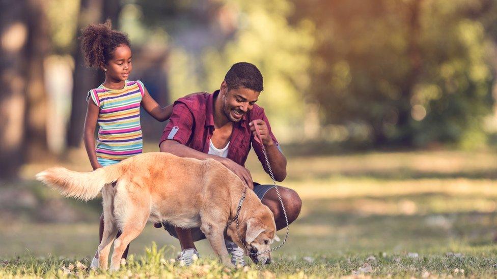 family walking dog