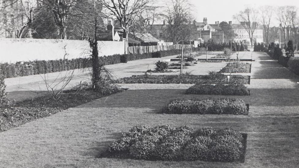 Formal dogwood 1955; formal heather bed 1959