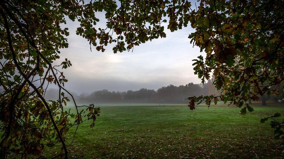 A foggy field in Knowle Park, in Solihull, West Midlands