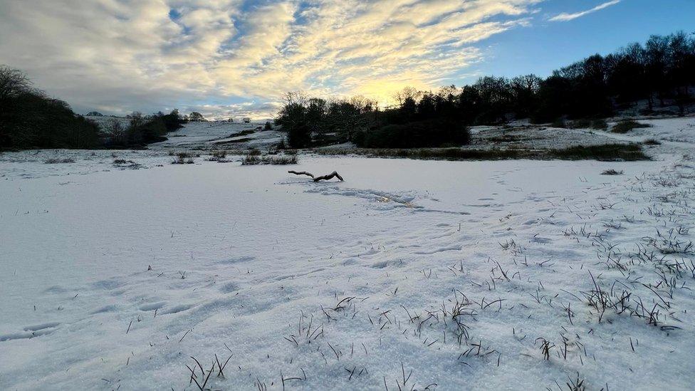 Snow in Leek