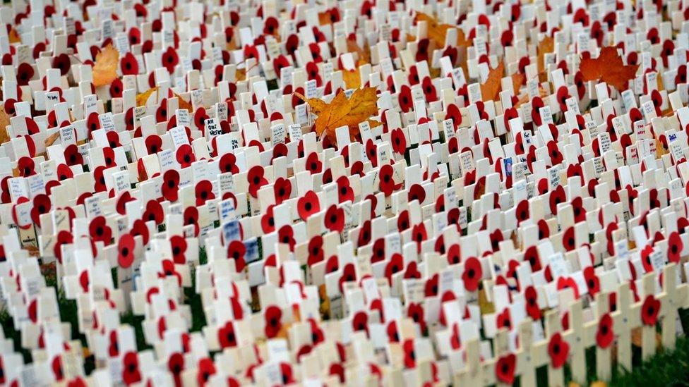 Lots of poppies on crosses