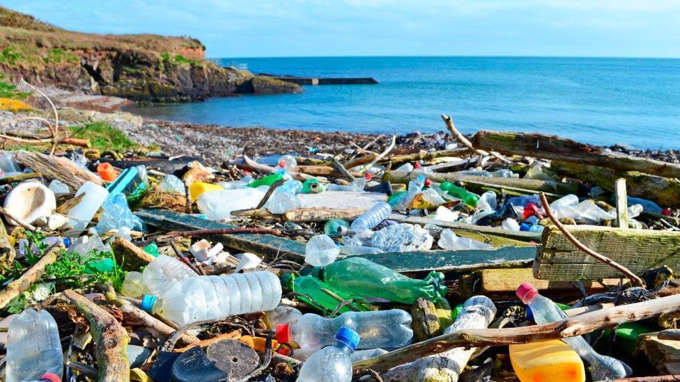 lots of plastic rubbish collected together, with the coastline in the background