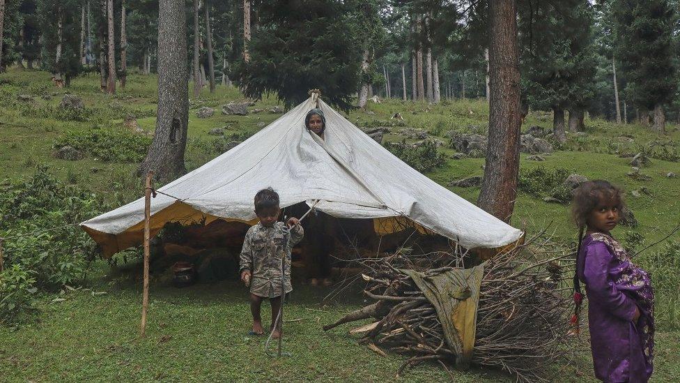 Nazira, a nomad woman peeks out from her tent as her children stand outside