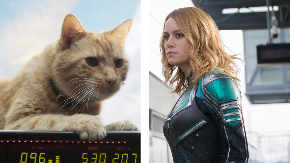 Goose cat and Brie Larson as Captain Marvel.