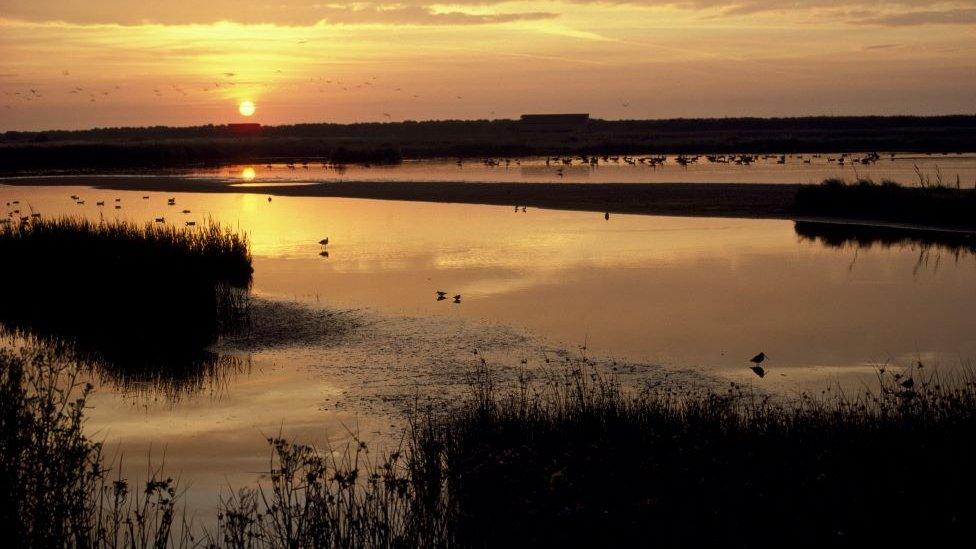 RSPB Minsmere at sunset