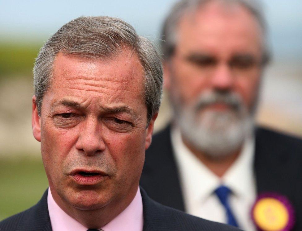 UKIP leader Nigel Farage is pictured standing in front of Mr Wells