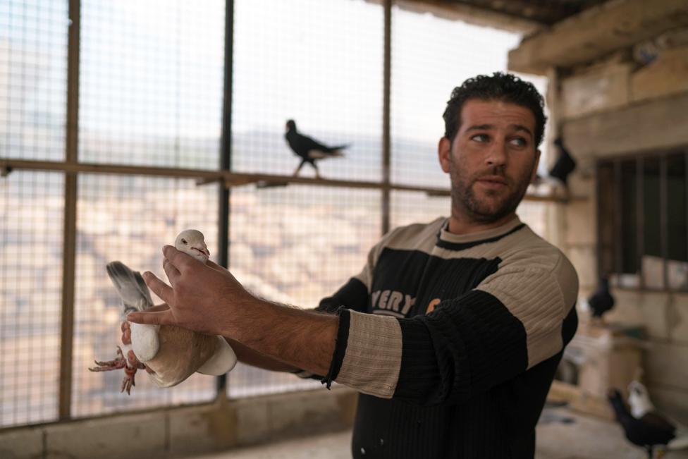 Mohammed Jomaa holding a bird, Anjar