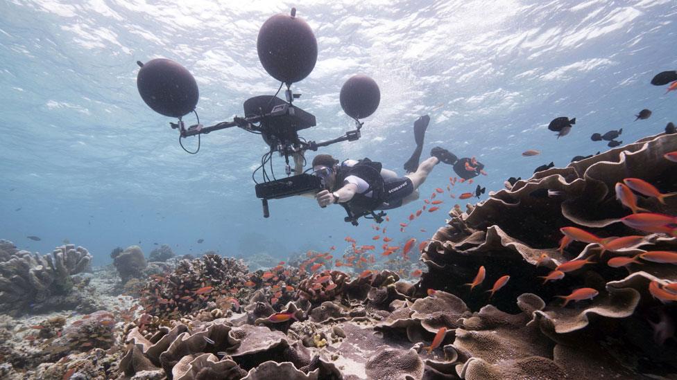 A Blue Planet producer uses a multi-directional hydrophone to record the sounds of the reef