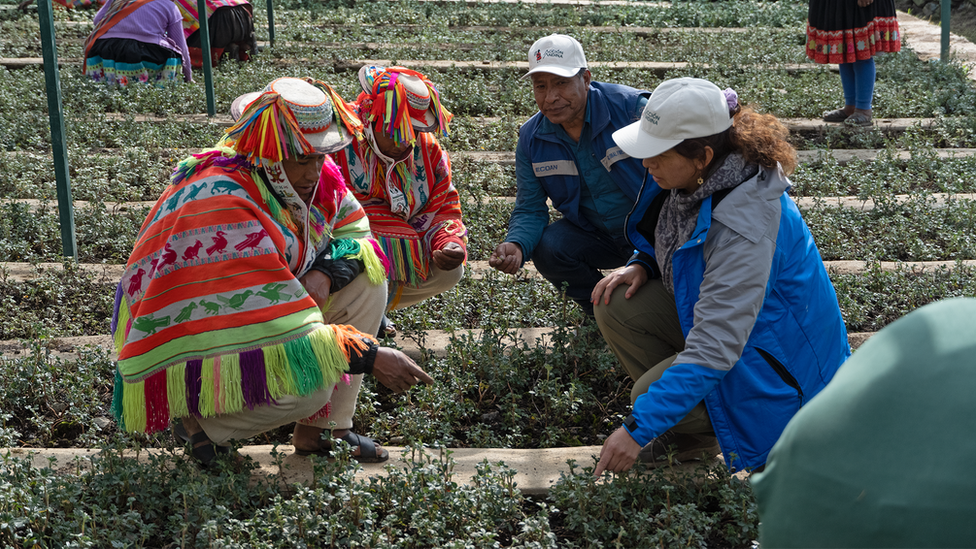 Workers helping locals from the Andes Mountain Range