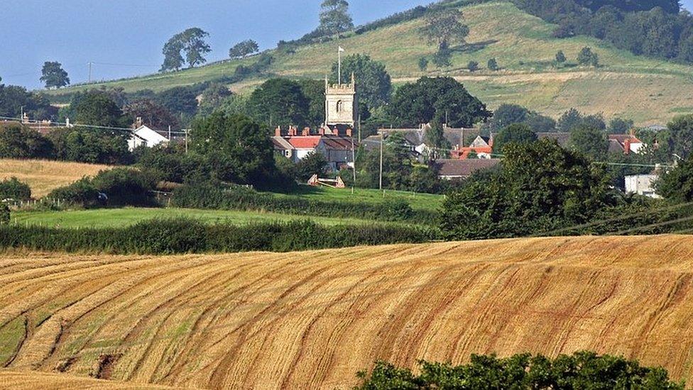 Fields in Somerset