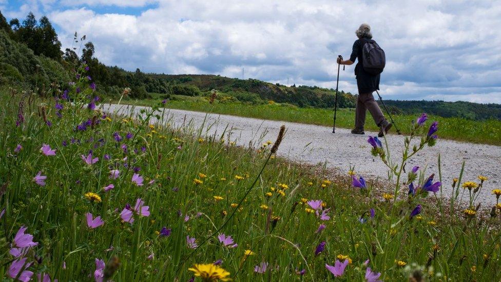 Generic picture of a person walking in the countryside