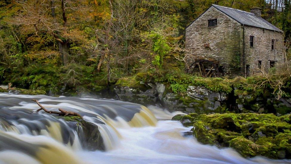 Clayton Davies took this autumn scene at Cenarth Falls in the Teifi Valley