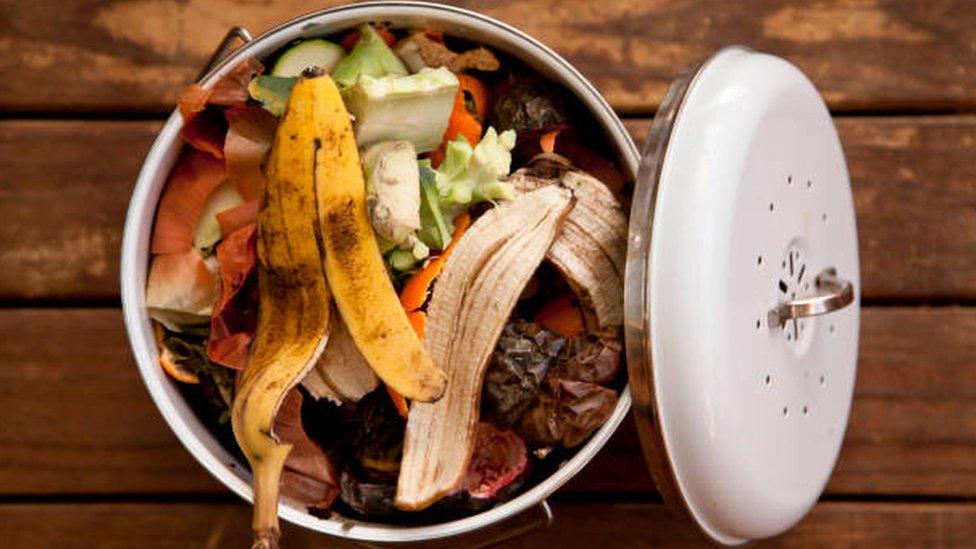 Food waste in bin