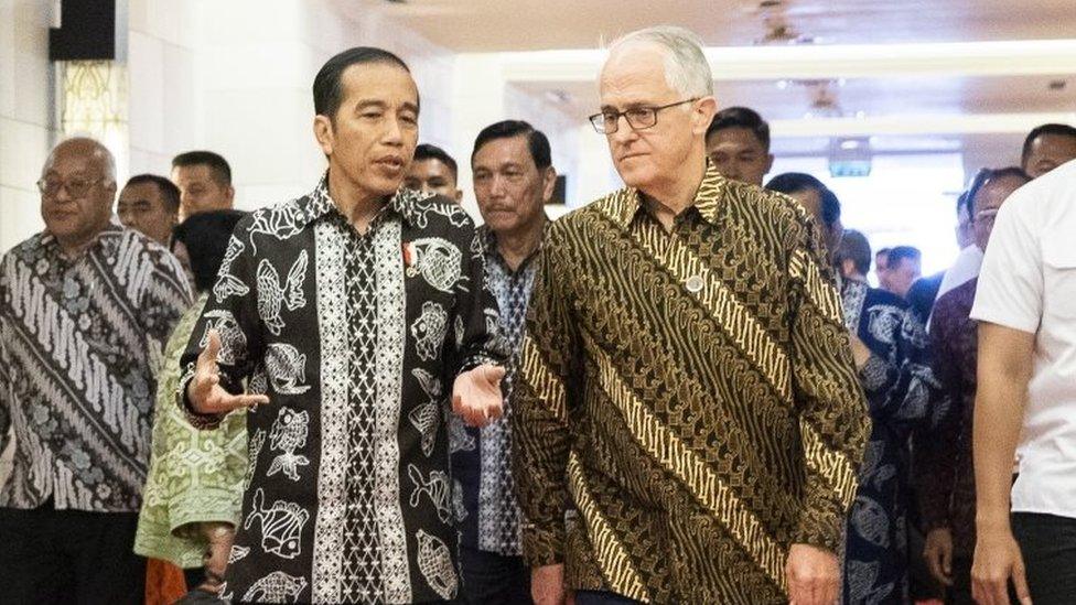 Joko Widodo and Malcolm Turnbull meet in Bali last week