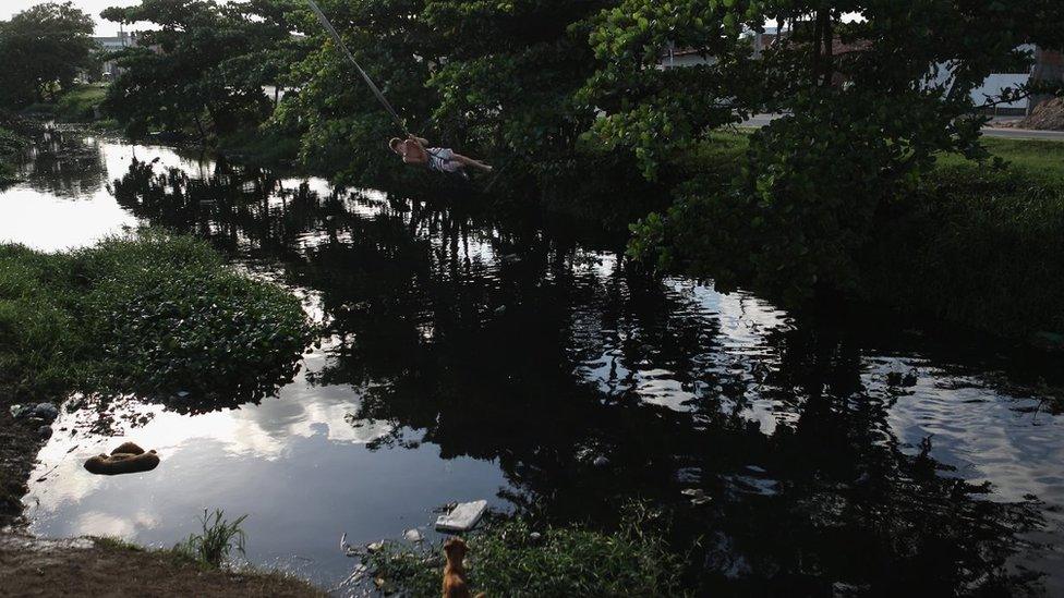 A young man swings from a tire above a polluted and slow-moving canal as a dog watches from shore on January 26, 2016 in Recife, Pernambuco state, Brazil. Stagnant water provides potential breeding sites for mosquitoes which carry the Zika virus. In the last four months, authorities have recorded close to 4,000 cases in Brazil in which the mosquito-borne Zika virus may have led to microcephaly in infants.