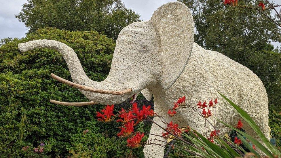 Elephant sculpture