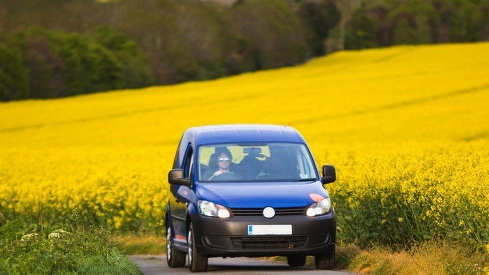 car driving through field of rapeseed