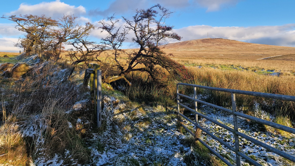 Divis and Black Mountain