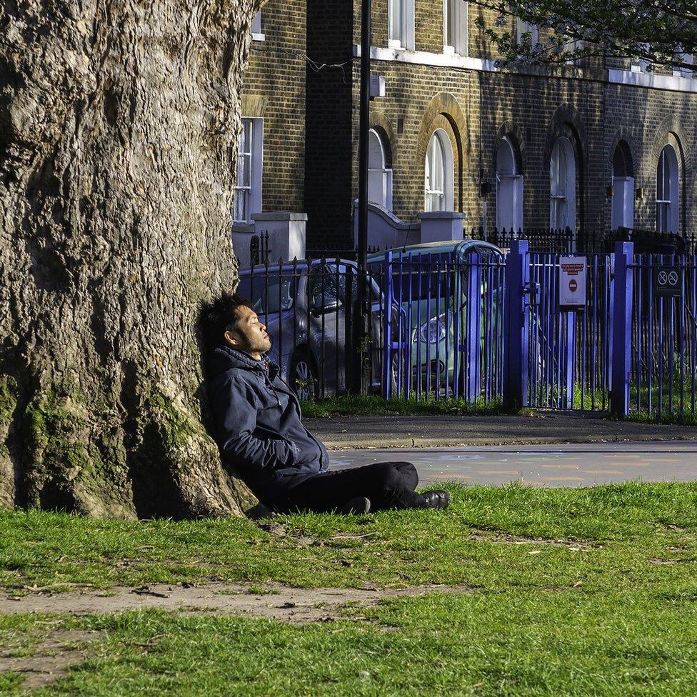 Man in park