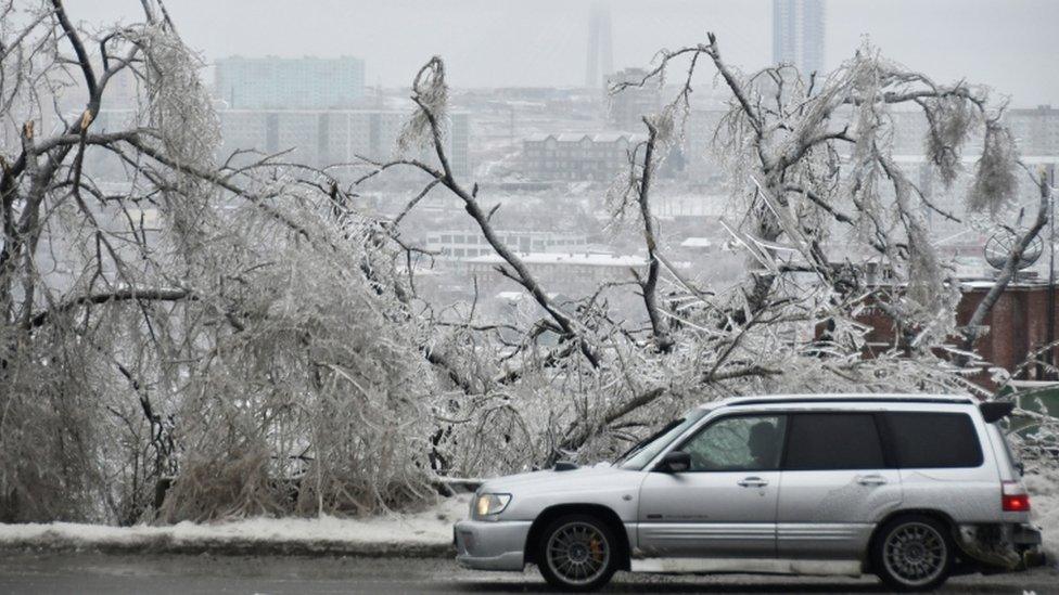 A car drives past trees covered with ice after freezing rain in the far eastern city of Vladivostok, Russia