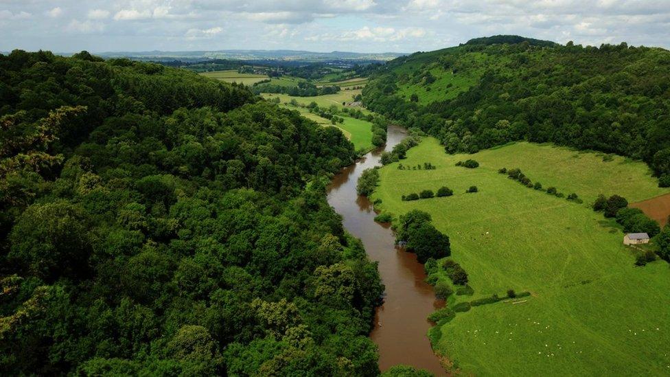 The River Wye, seen from Symonds Yat Rock