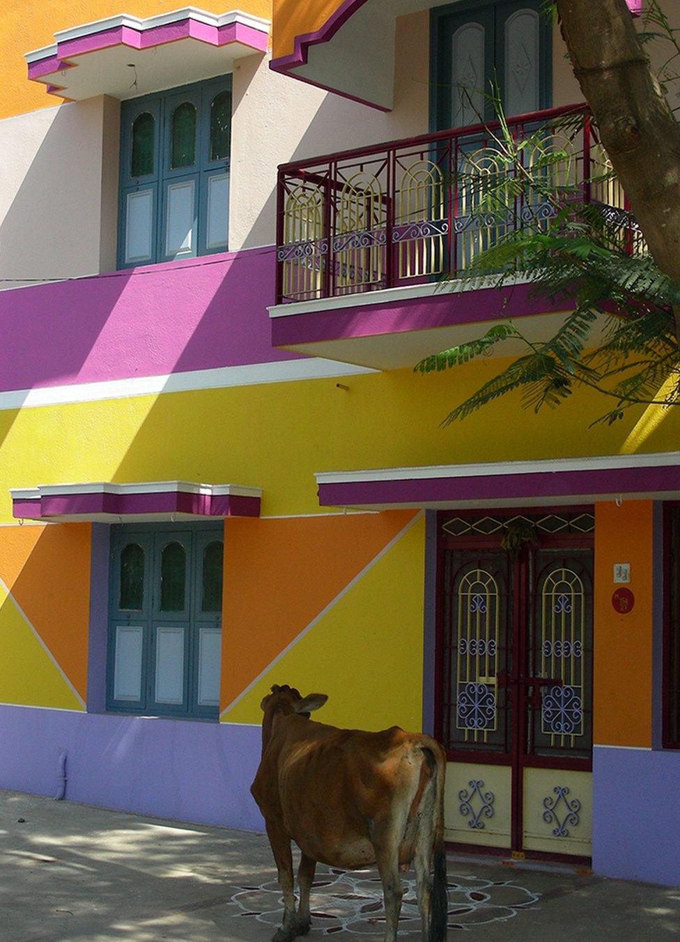 This vibrant architecture of southern India, with colourful houses like this one in Tiruvannamalai was a source of inspiration to Ettore Sottsass