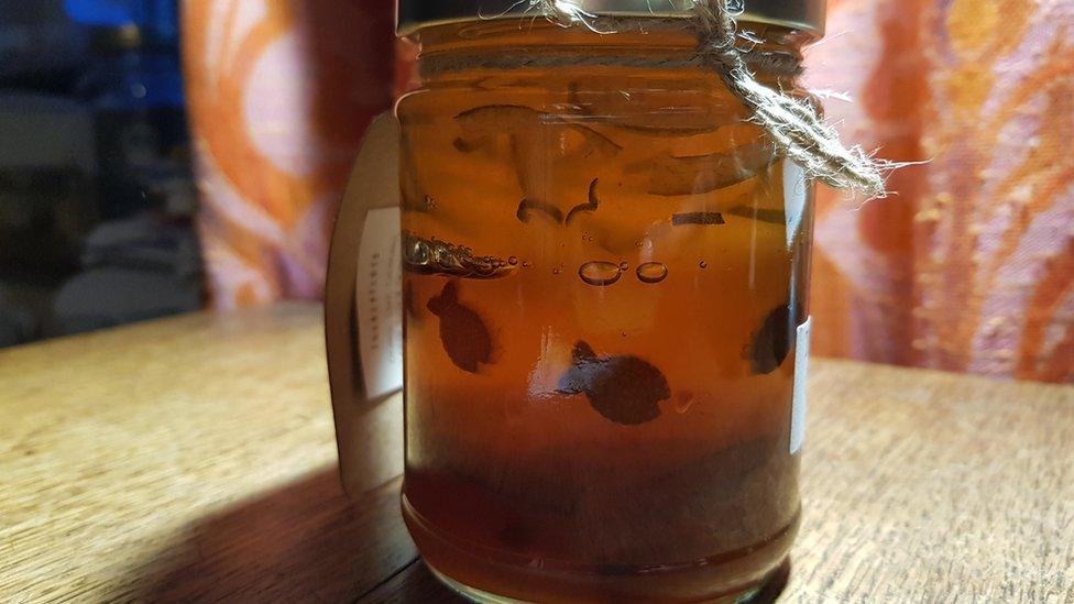 "Fish" peel marmalade