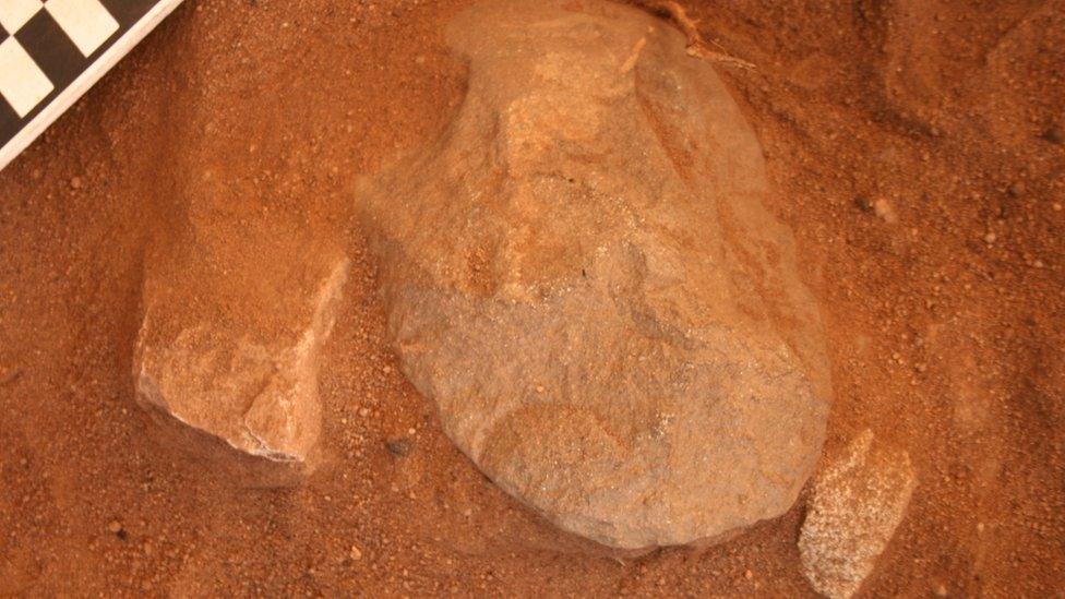 An edge-ground hatchet head being revealed