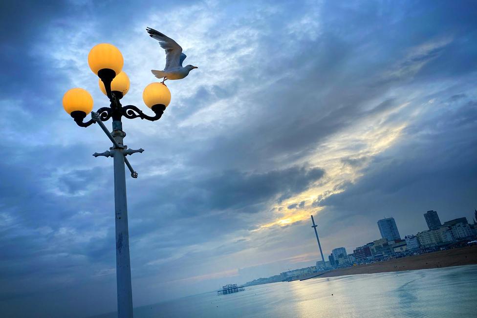 Freezing Time - a seagull perched on a lamppost