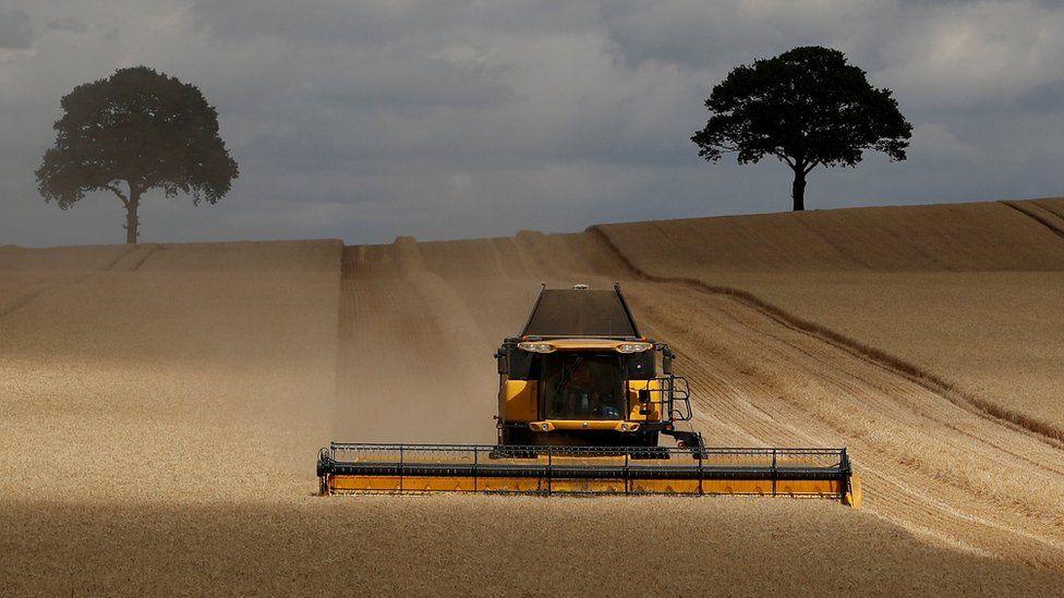 A tractor on a crop field