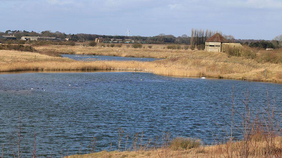 A view of one of the lakes at North Cave Wetlands the blue waters are surrounded by reeds and a wooden bird watching hide is on the opposite bank