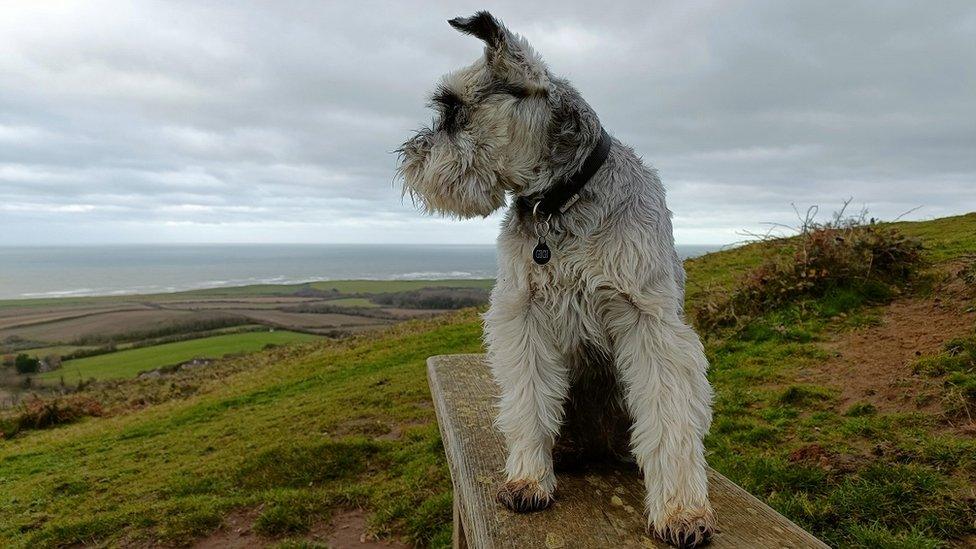 TUESDAY - Mottistone