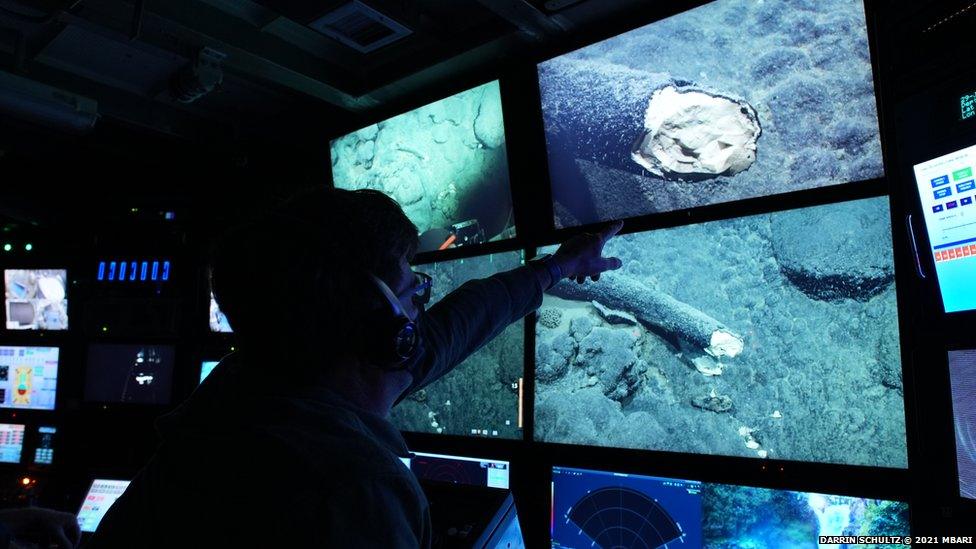 Researchers pointing to the mammoth tusk on a computer