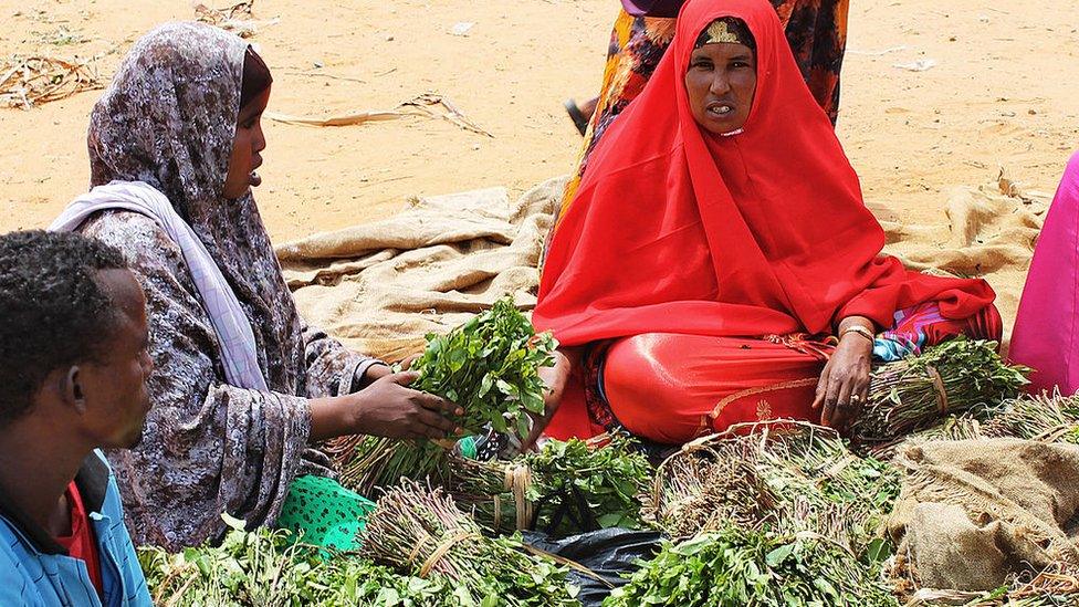 Women sell bundles of the mild stimulant known locally as khat at a market in the Somali capital, Mogadishu on June 18, 2012.