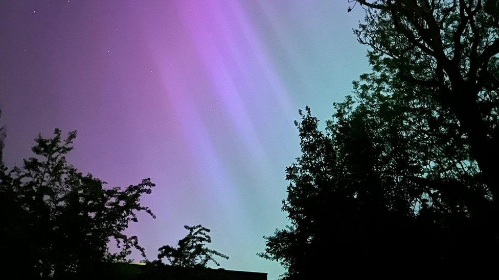 Purple and blue lights in the sky above trees in Teddington, south-west London