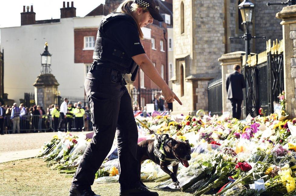 Policewoman with dog