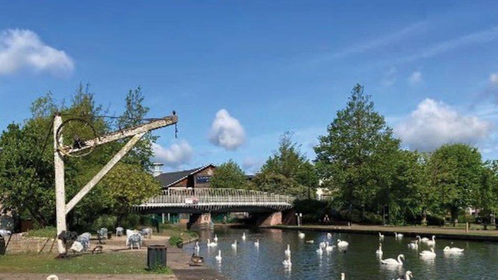 Swans on the River Kennet at Newbury Wharf