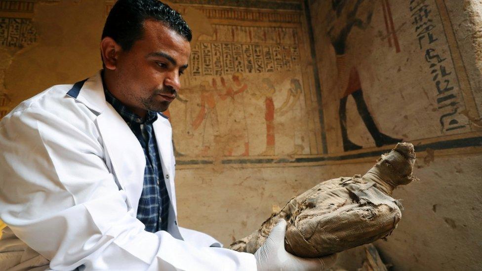 An archaeologist holding an ancient, mummified bird