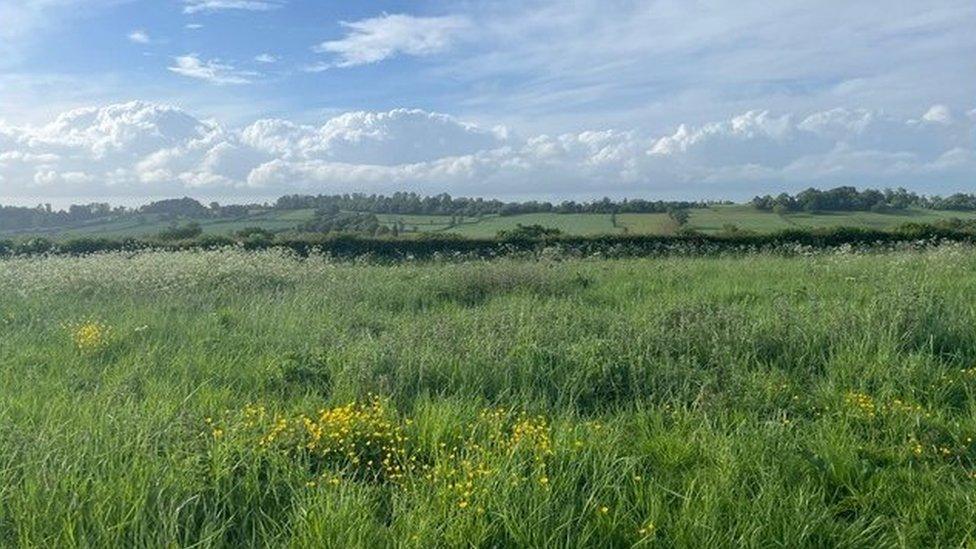 Packsaddle Fields on Packsaddle Way in Frome