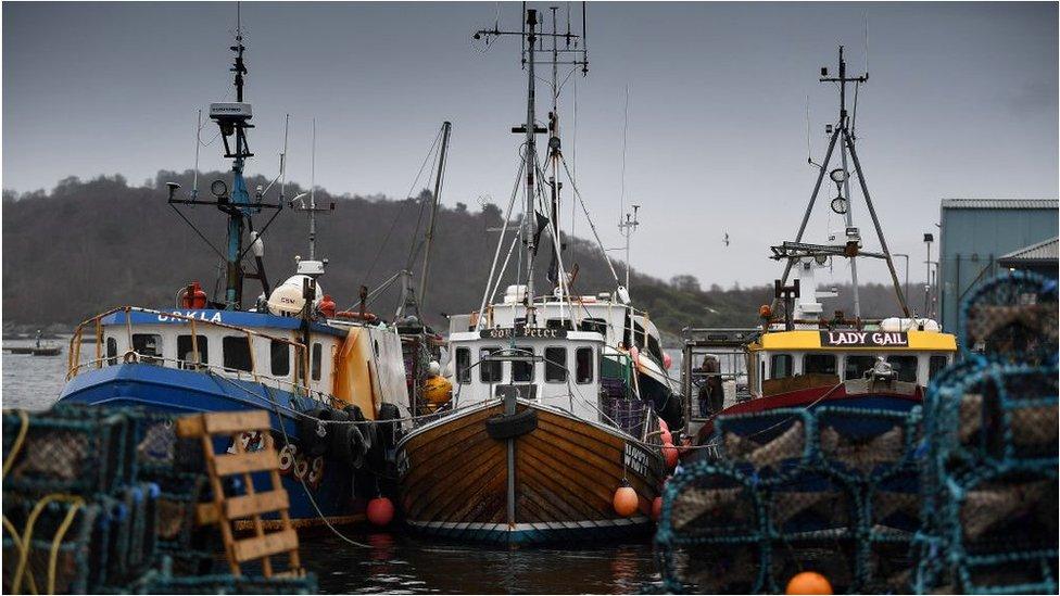 Scottish fishing boats